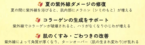セルシーアンドルモン | セルシー化粧品サンドリーム販社