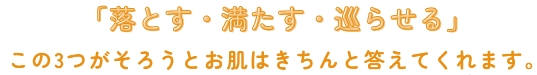 セルシーアンドルモン | セルシー化粧品サンドリーム販社