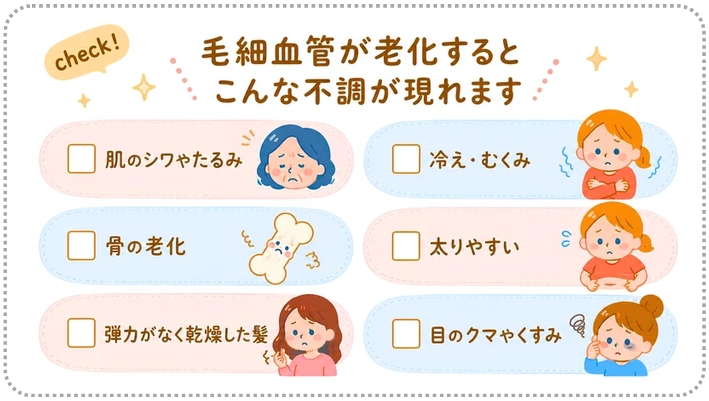 �Z���V�[�A���h������ | �Z���V�[���ϕi�T���h���[���̎�