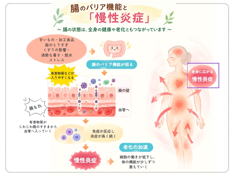 セルシーアンドルモン | セルシー化粧品サンドリーム販社