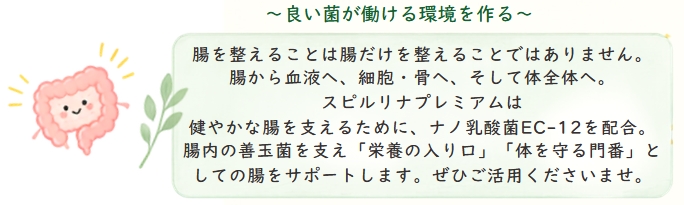 セルシーアンドルモン | セルシー化粧品サンドリーム販社