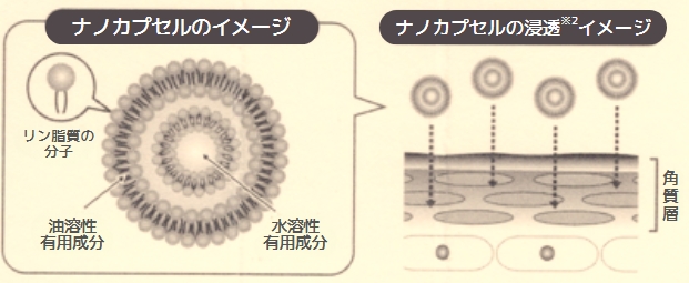 「SRエスペシャルアイクリーム」のご紹介と体験談